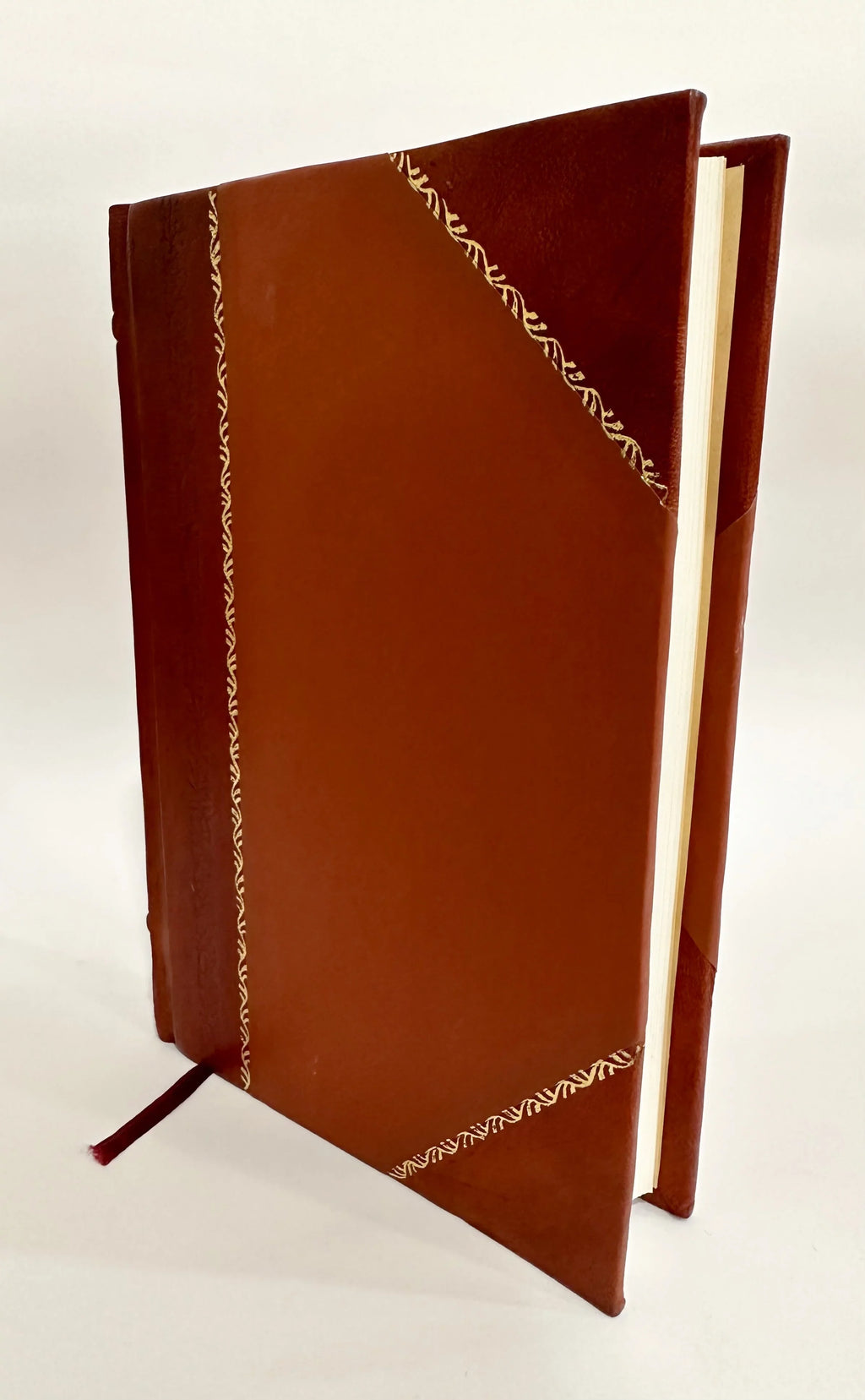 Seeing New York at Minimum Cost / 1915 Edition (1915) [Leather Bound]