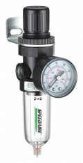 Speedaire Filt-Reg,1/4"NPT,14 cfm,5 Micron