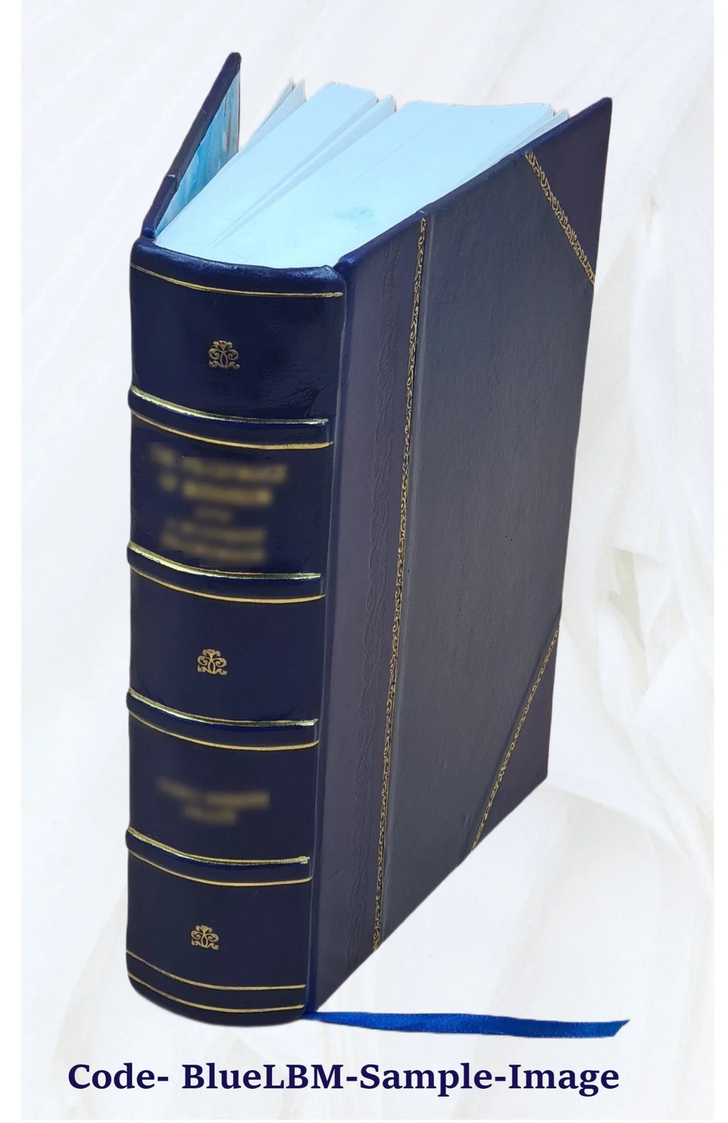 Narrative of the surveying voyages of His Majesty's ships Adventure and Beagle : between the years 1826 and 1836 ... / [by P.P. King, R. Fitzroy and C. Darwin] Volume v.2 1839 [Lea
