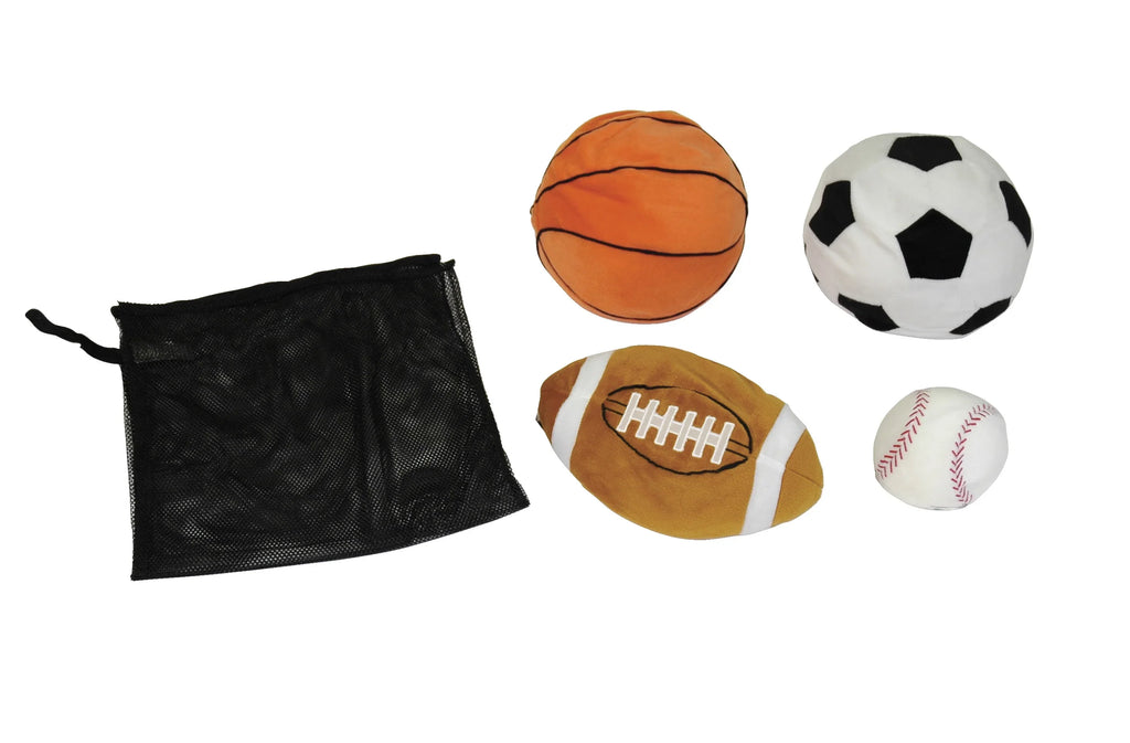 Enclosure In Convenience Weighted Sports Balls, Set of 4