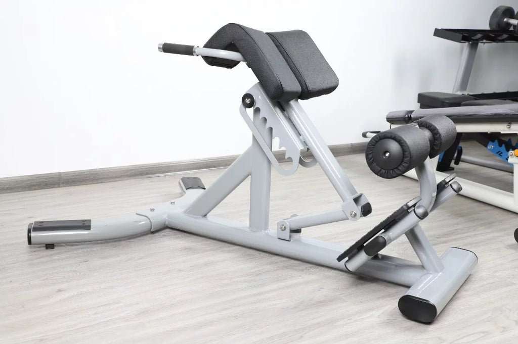 French Fitness FFS Silver 45 Degree Hyperextension Back Extension (New)