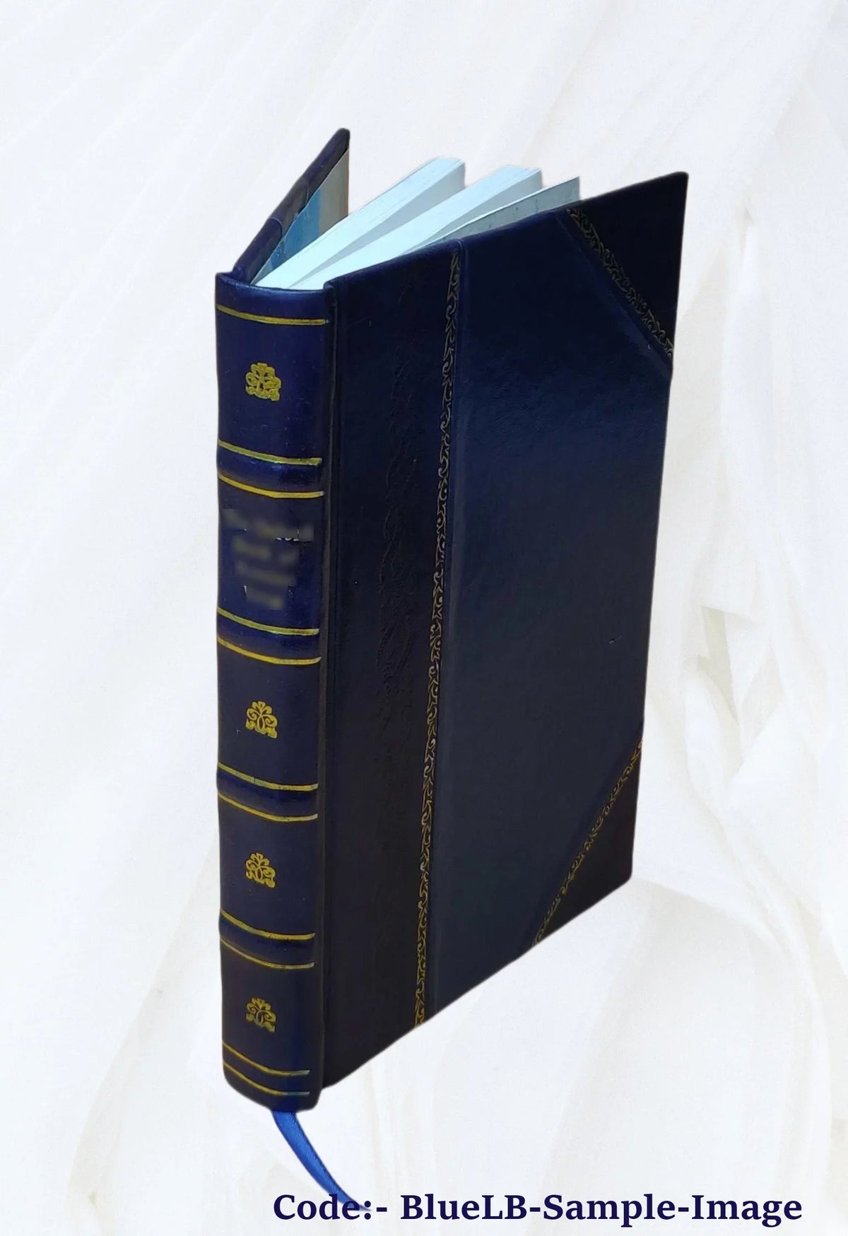 Minerva : introduction à l'étude des classiques scolaires grecs et latins / par James Gow ; ouvrage adapté aux besoins des écoles françaises par Salomon Reinach. 1907 [Leather