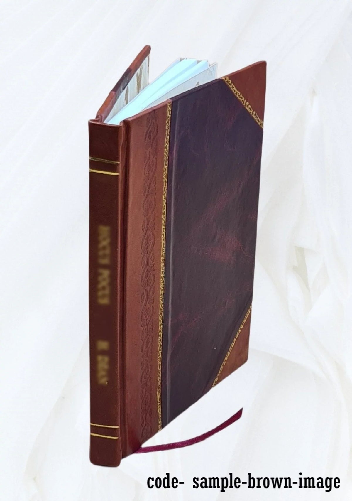 Évasion des prisonniers français détenus à bord du ponton la Vieille-Castille, en rade de Cadix, le 15 mai 1810 , par M. C****, capitaine en non activité... Seconde édition 1819 [L