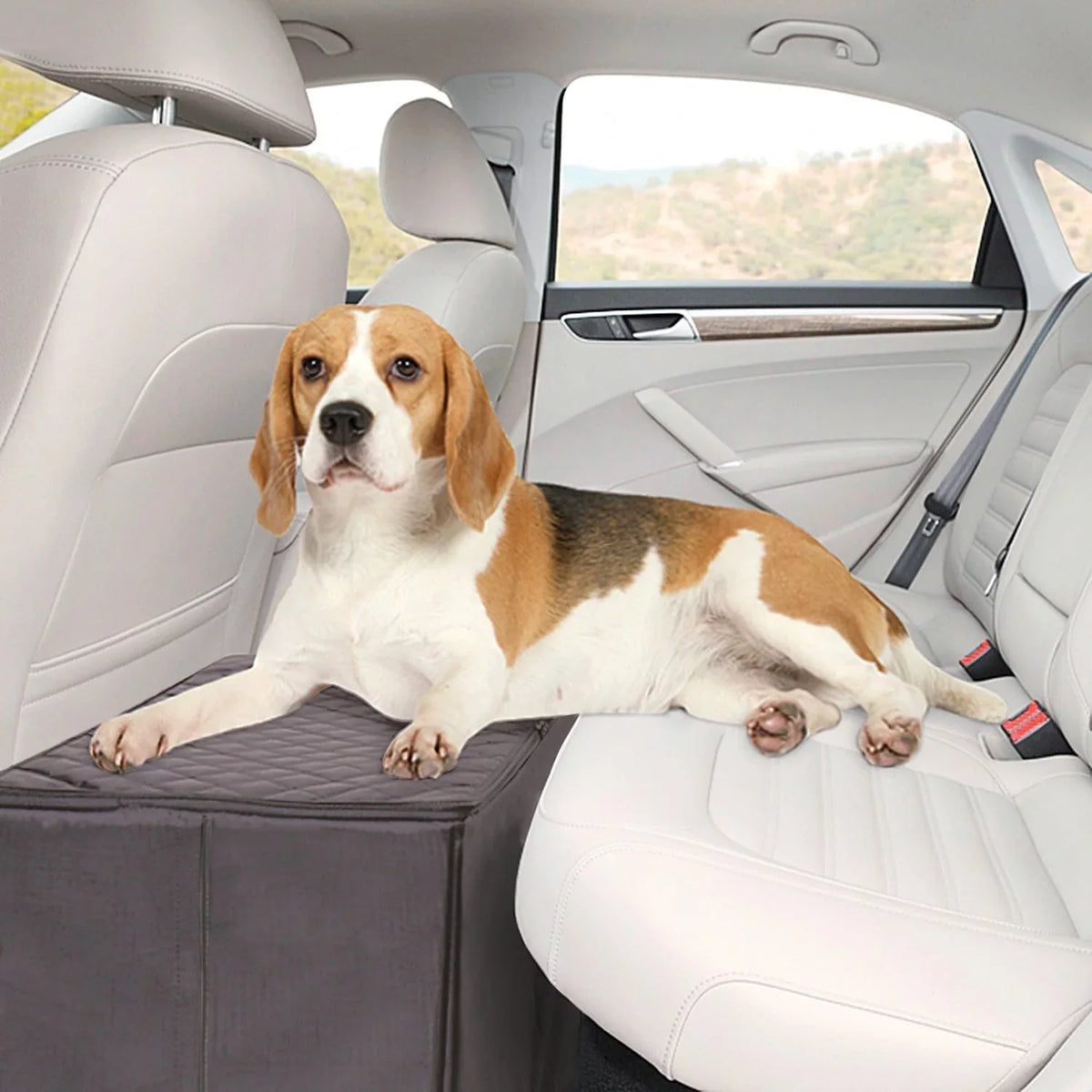 MSR Imports Dog Car Back Seat Extender Safer More Convenience Back Seat Platform and Storage Black