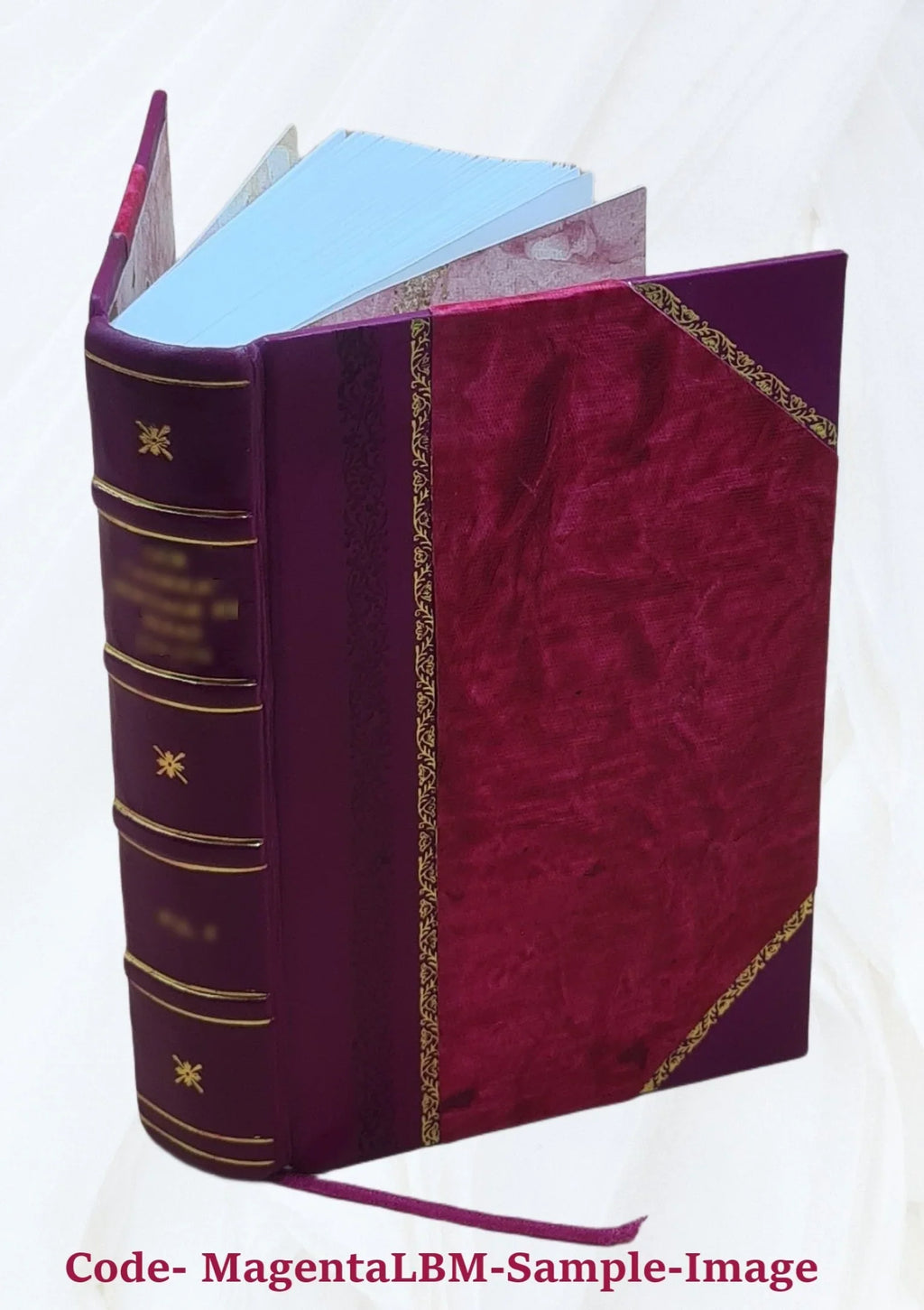 Narrative of the surveying voyages of His Majesty's ships Adventure and Beagle : between the years 1826 and 1836 ... / [by P.P. King, R. Fitzroy and C. Darwin] Volume v.2 1839 [Lea