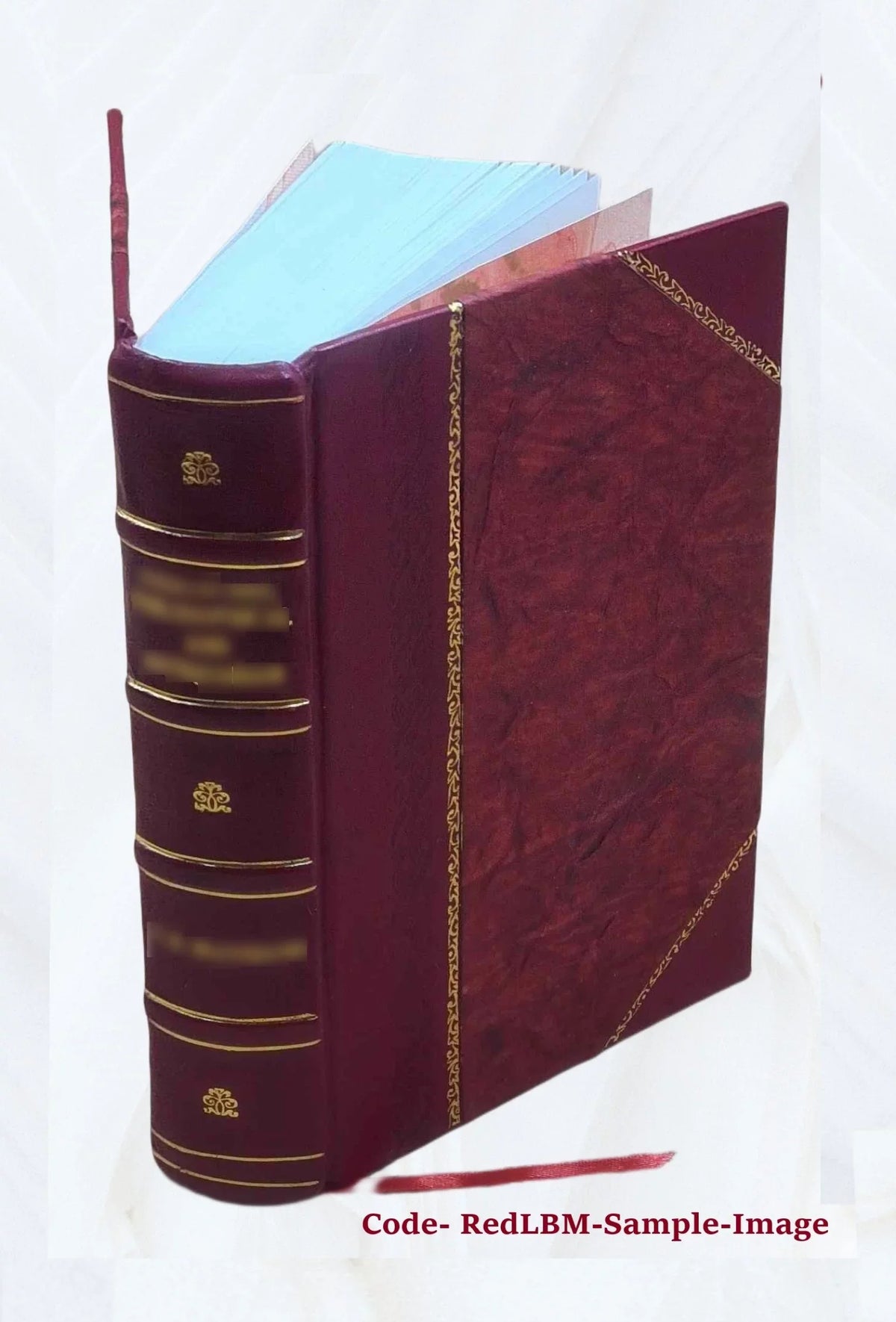Doctrine of the Manifestations of the Son of God Under the Economy of the Old Testament 1852 [Leather Bound]