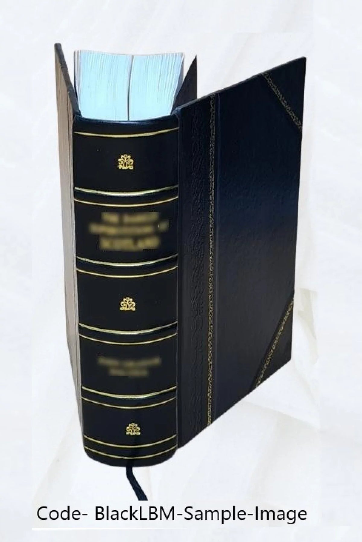 Narrative of the surveying voyages of His Majesty's ships Adventure and Beagle : between the years 1826 and 1836 ... / [by P.P. King, R. Fitzroy and C. Darwin] Volume v.2 1839 [Lea